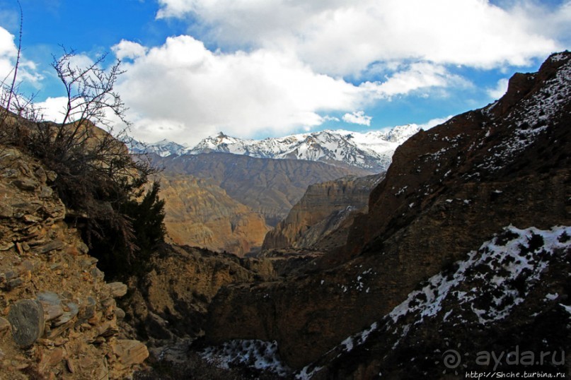 Мустанг. Обратная перемотка. День второй — чистое созерцание