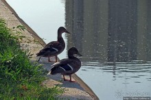 Бухарест — город на Дымбовице?