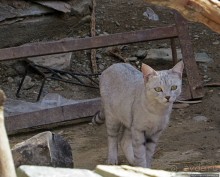Берхале — дальше только пустыня
