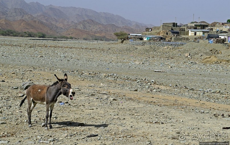 Берхале — дальше только пустыня