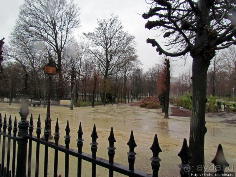 Брюссель - яркое впечатление в мерзкую погоду