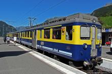 Швейцарская "усмешка леса" — летний Гриндельвальд