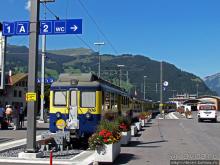 Швейцарская "усмешка леса" — летний Гриндельвальд