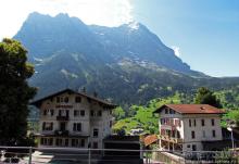 Швейцарская "усмешка леса" — летний Гриндельвальд