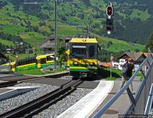 Швейцарская "усмешка леса" — летний Гриндельвальд