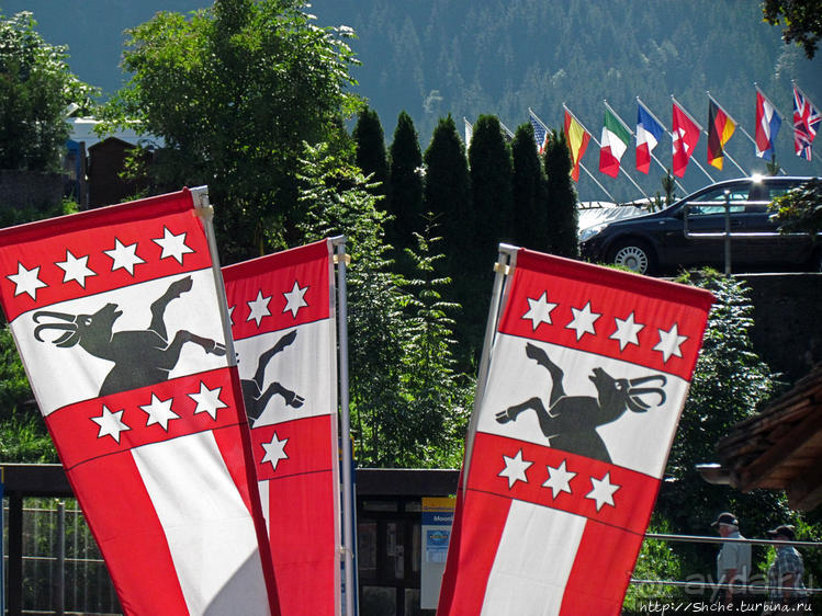 Швейцарская "усмешка леса" — летний Гриндельвальд