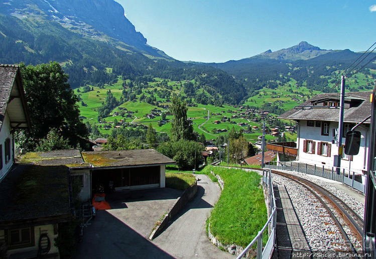 Швейцарская "усмешка леса" — летний Гриндельвальд