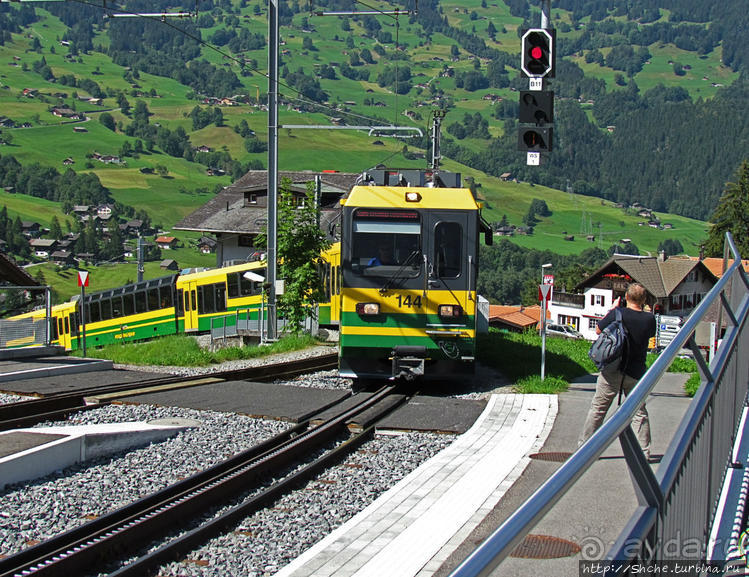 Швейцарская "усмешка леса" — летний Гриндельвальд
