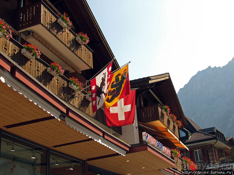 Швейцарская "усмешка леса" — летний Гриндельвальд