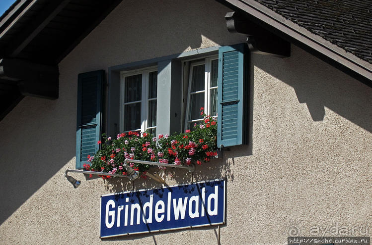 Швейцарская "усмешка леса" — летний Гриндельвальд
