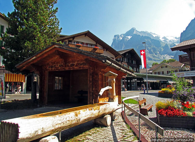 Швейцарская "усмешка леса" — летний Гриндельвальд