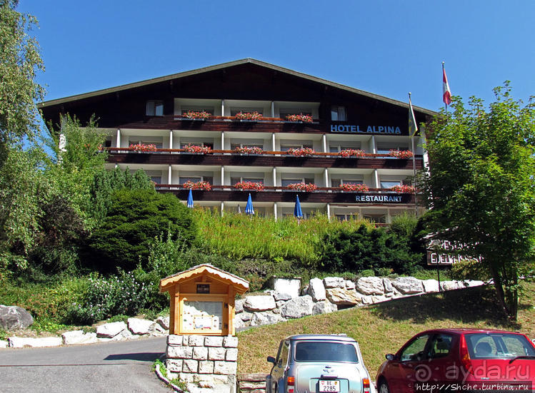 Швейцарская "усмешка леса" — летний Гриндельвальд