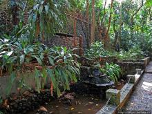 Место, где водится много-много больших черепах. И не только