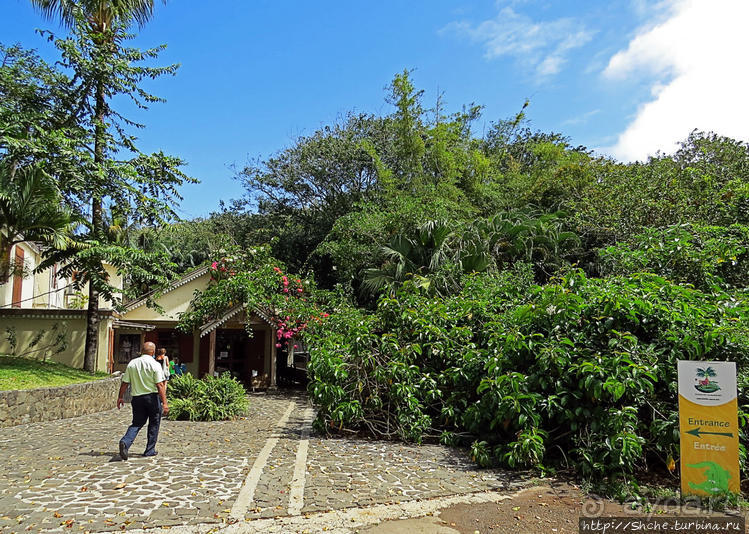 Место, где водится много-много больших черепах. И не только