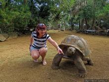 Место, где водится много-много больших черепах. И не только