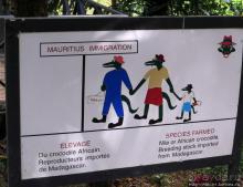 Место, где водится много-много больших черепах. И не только