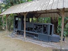 Место, где водится много-много больших черепах. И не только