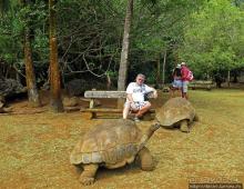 Место, где водится много-много больших черепах. И не только