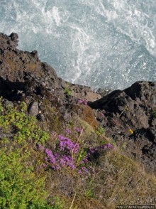 Barnafoss — такой недетский "детский водопад"
