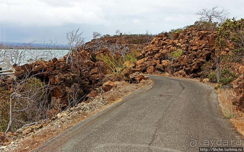 Остров Бальтра — воздушные ворота Галапагосов