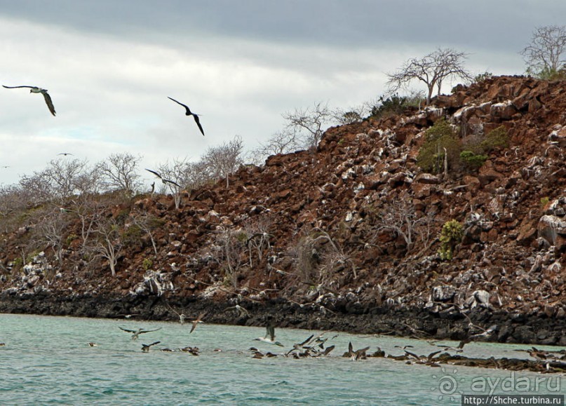 Остров Бальтра — воздушные ворота Галапагосов
