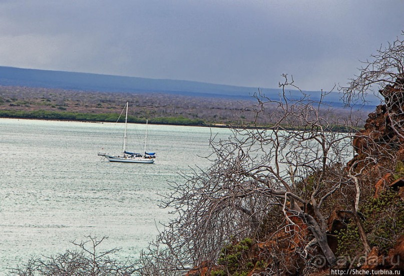 Остров Бальтра — воздушные ворота Галапагосов