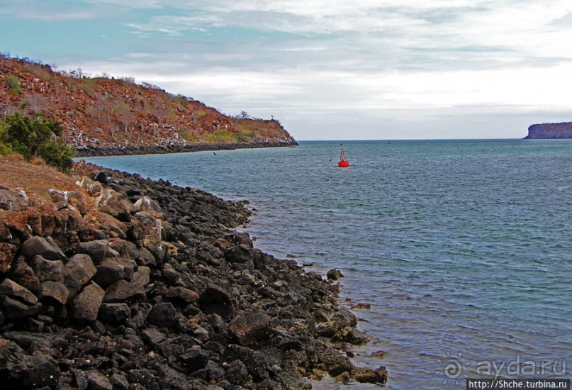 Остров Бальтра — воздушные ворота Галапагосов