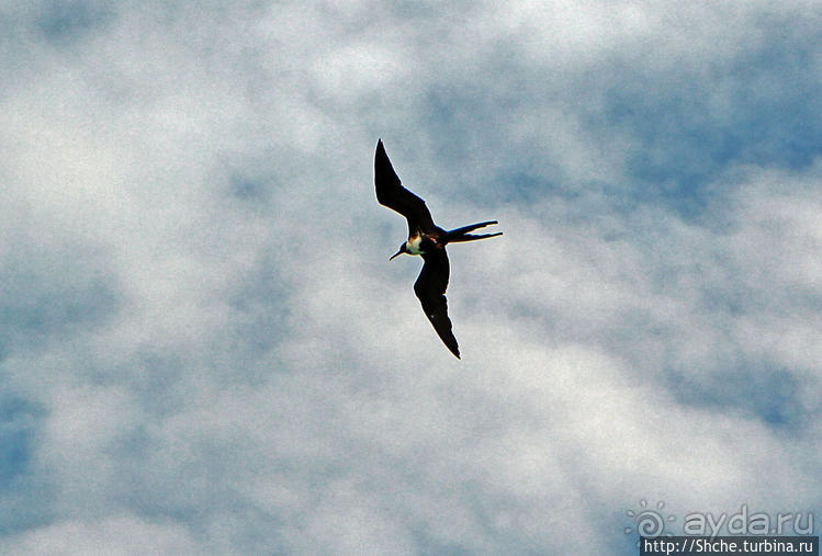 Остров Бальтра — воздушные ворота Галапагосов
