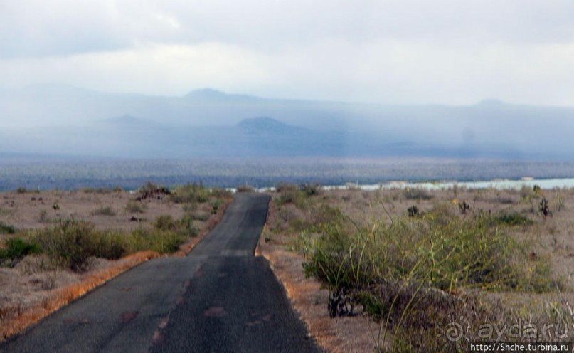 Остров Бальтра — воздушные ворота Галапагосов