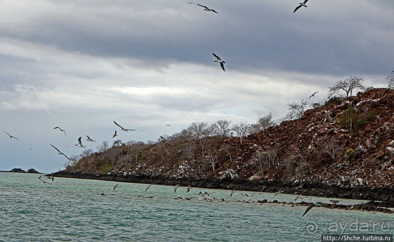 Остров Бальтра — воздушные ворота Галапагосов