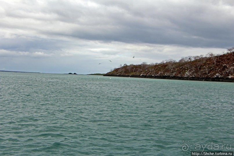 Остров Бальтра — воздушные ворота Галапагосов