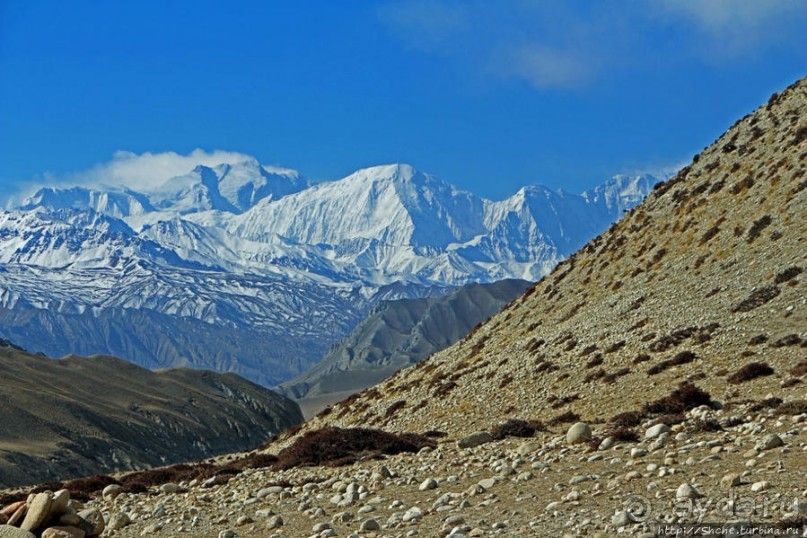 Мустанг, обратная перемотка. Выдвигаемся из столицы