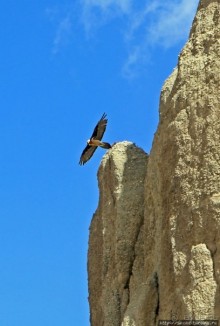 Мустанг, обратная перемотка. Выдвигаемся из столицы