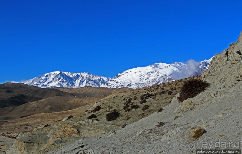 Мустанг, обратная перемотка. Выдвигаемся из столицы