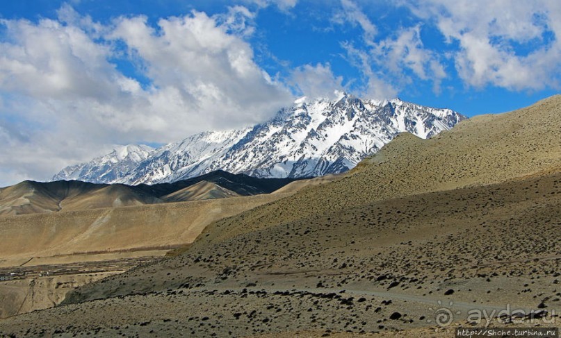 Мустанг, обратная перемотка. Выдвигаемся из столицы