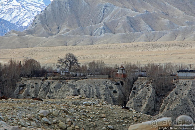 Мустанг, обратная перемотка. Выдвигаемся из столицы