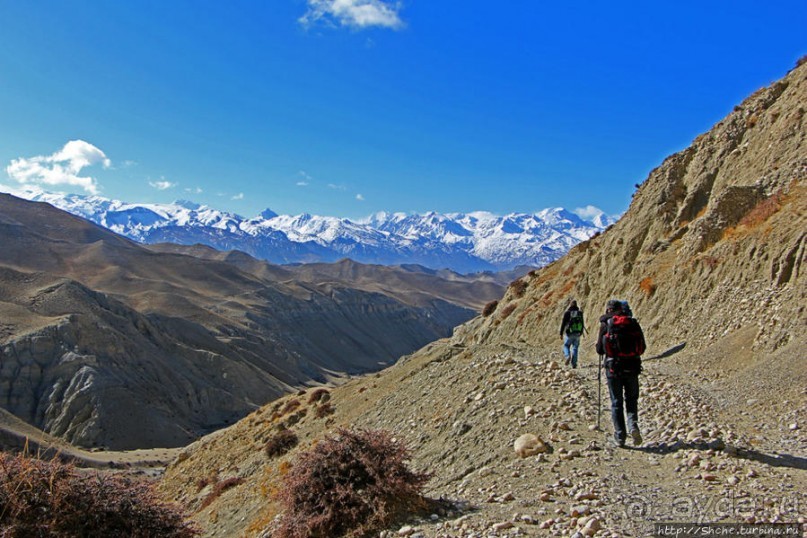 Мустанг, обратная перемотка. Выдвигаемся из столицы