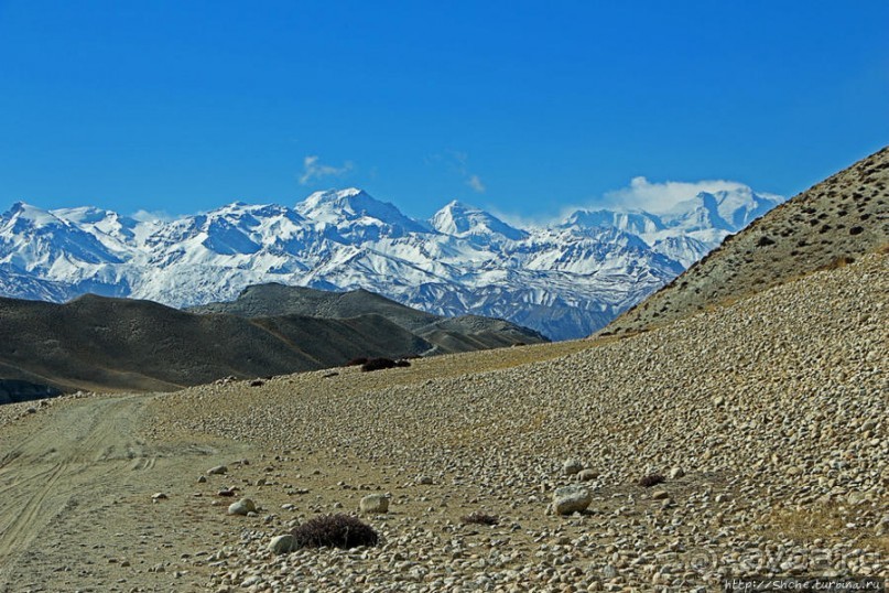 Мустанг, обратная перемотка. Выдвигаемся из столицы