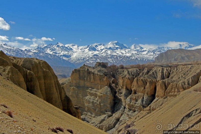Мустанг, обратная перемотка. Выдвигаемся из столицы