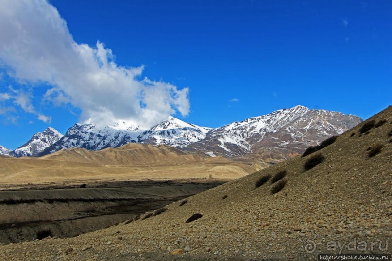 Мустанг, обратная перемотка. Выдвигаемся из столицы