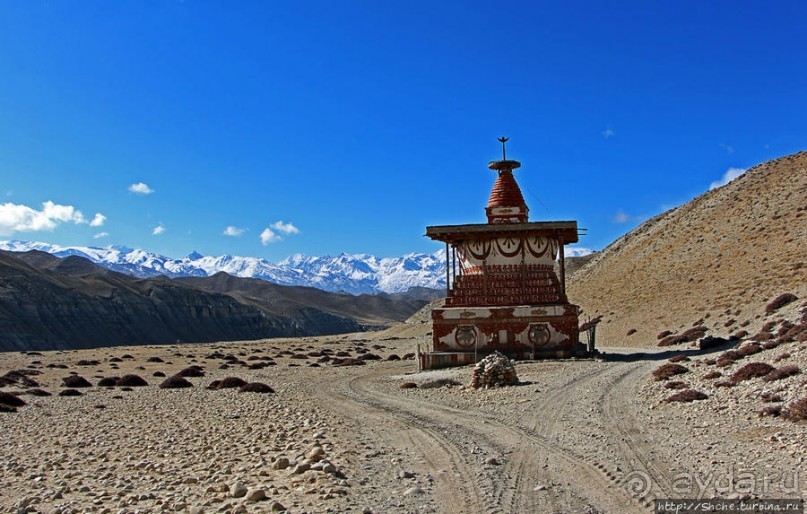 Мустанг, обратная перемотка. Выдвигаемся из столицы