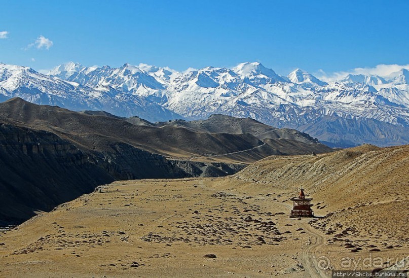 Мустанг, обратная перемотка. Выдвигаемся из столицы