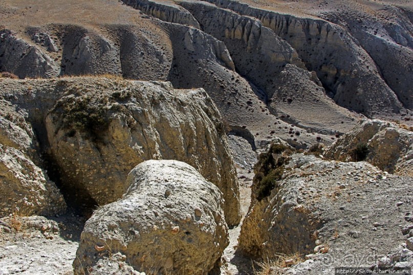 Мустанг, обратная перемотка. Выдвигаемся из столицы