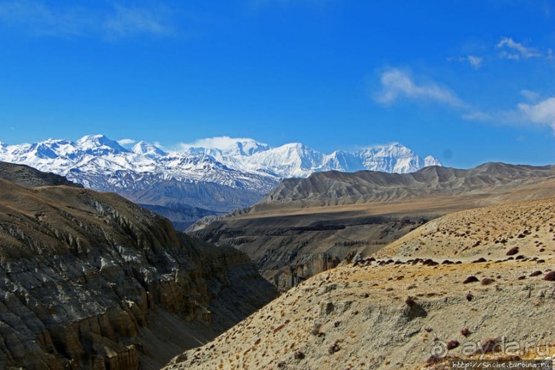Мустанг, обратная перемотка. Выдвигаемся из столицы