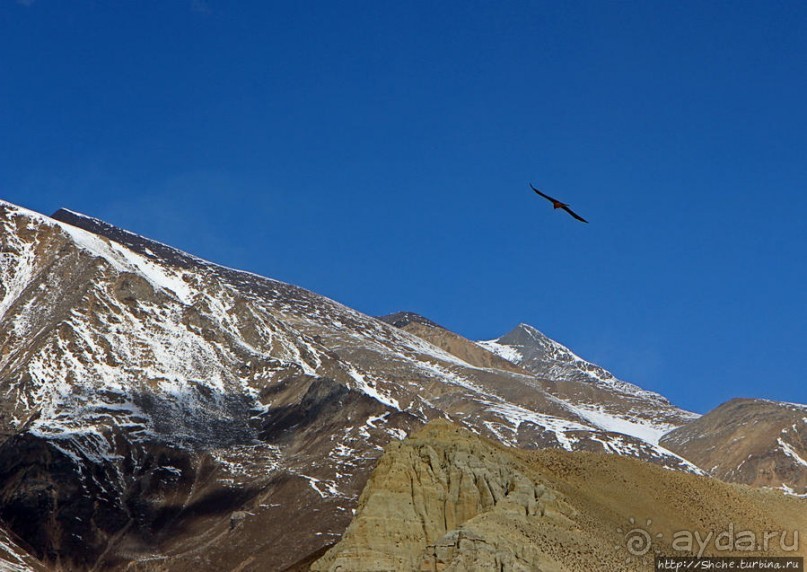 Мустанг, обратная перемотка. Выдвигаемся из столицы
