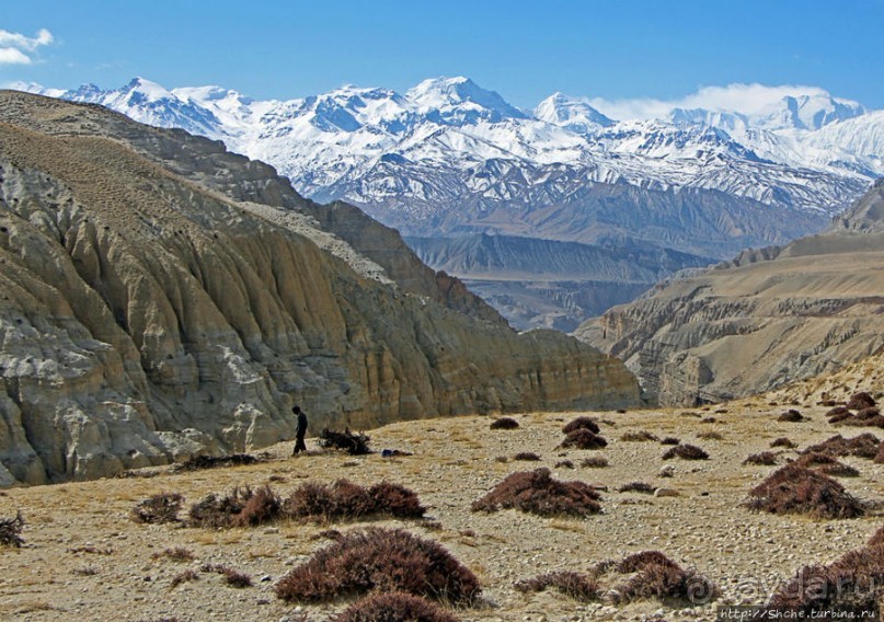Мустанг, обратная перемотка. Выдвигаемся из столицы