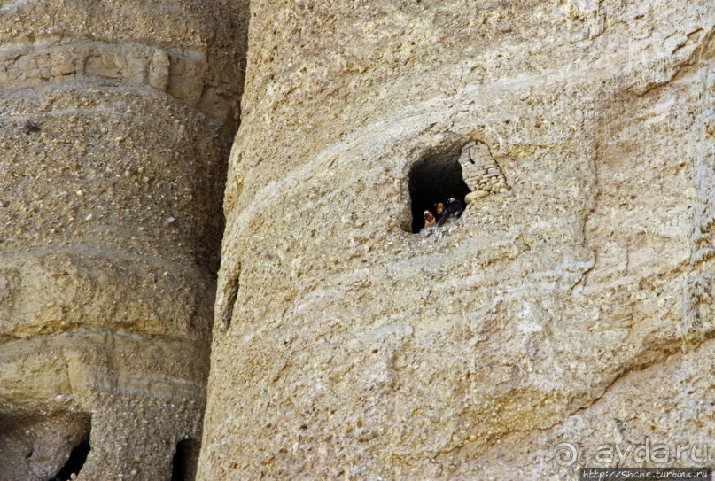 Мустанг, обратная перемотка. Выдвигаемся из столицы