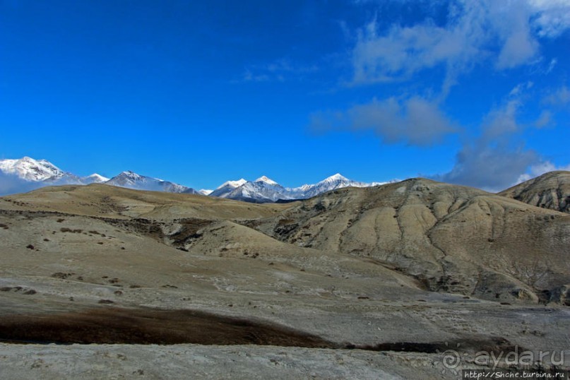 Мустанг, обратная перемотка. Выдвигаемся из столицы