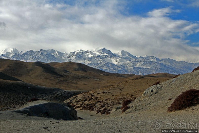 Мустанг, обратная перемотка. Выдвигаемся из столицы