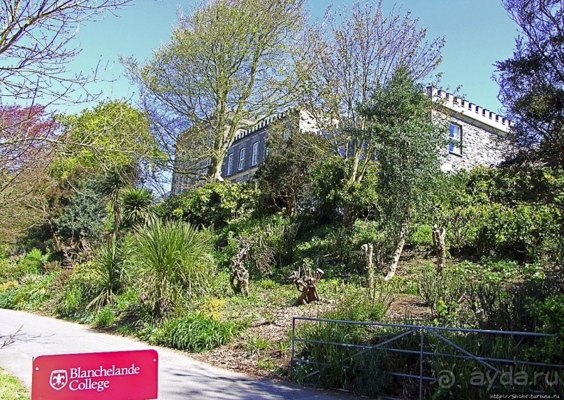 Маленькая, да просто шикарненькая